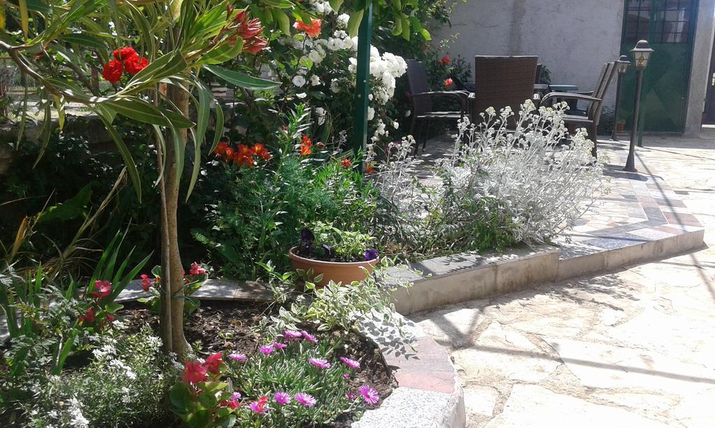 Apartments"Nika" With Private Pool Galovac  Экстерьер фото