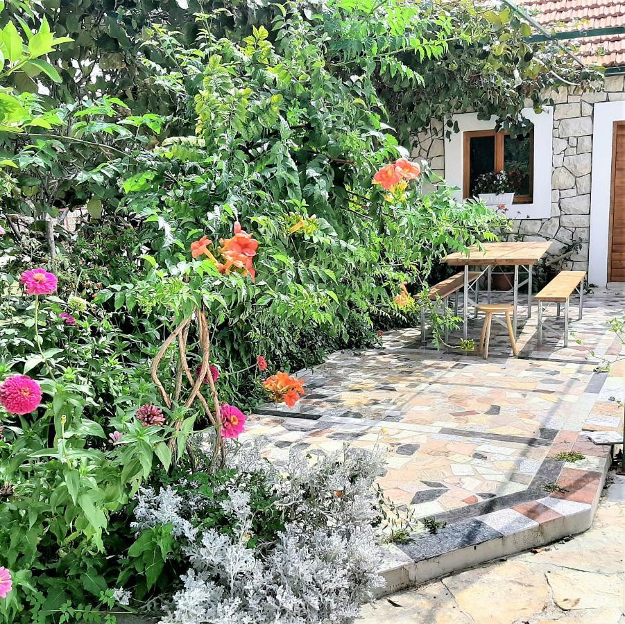 Apartments"Nika" With Private Pool Galovac  Экстерьер фото